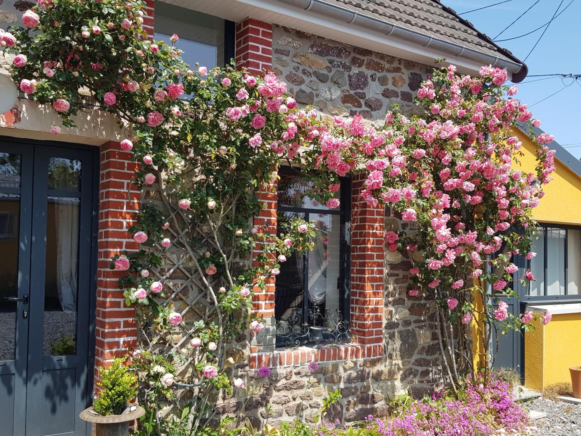 Le Jardin Bed and Breakfast Coudeville Εξωτερικό φωτογραφία